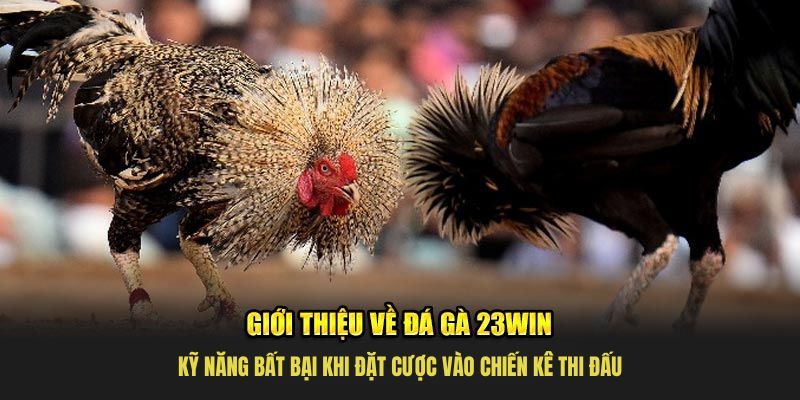 Chia sẻ các bí kíp nhận biết bất bại được dùng bởi chuyên gia