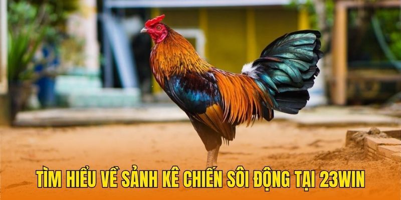 Tìm hiểu nét thông tin đặc sắc về danh mục cá cược thi đấu hấp dẫn