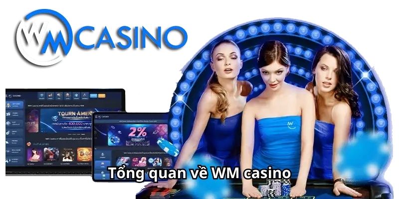 Tổng quan về WM casino